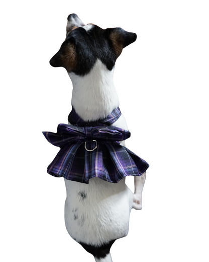 Magical Girl ✨ Dress Harness for Dogs - Three Colour Pack