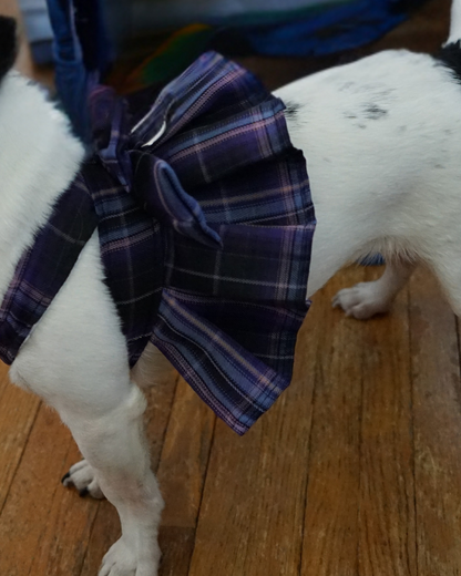 Magical Girl ✨ Dress Harness for Dogs