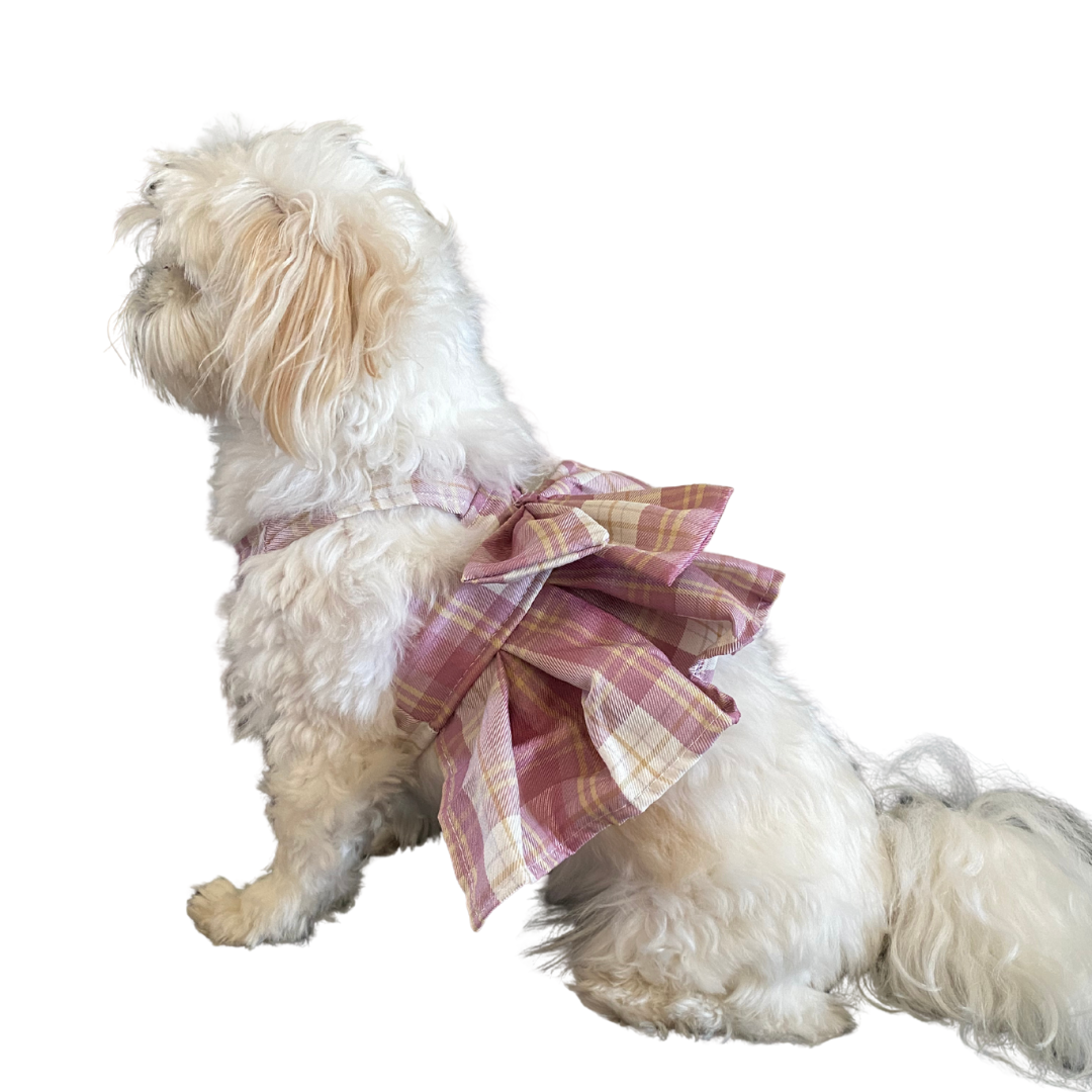 Magical Girl ✨ Dress Harness for Dogs - Three Colour Pack