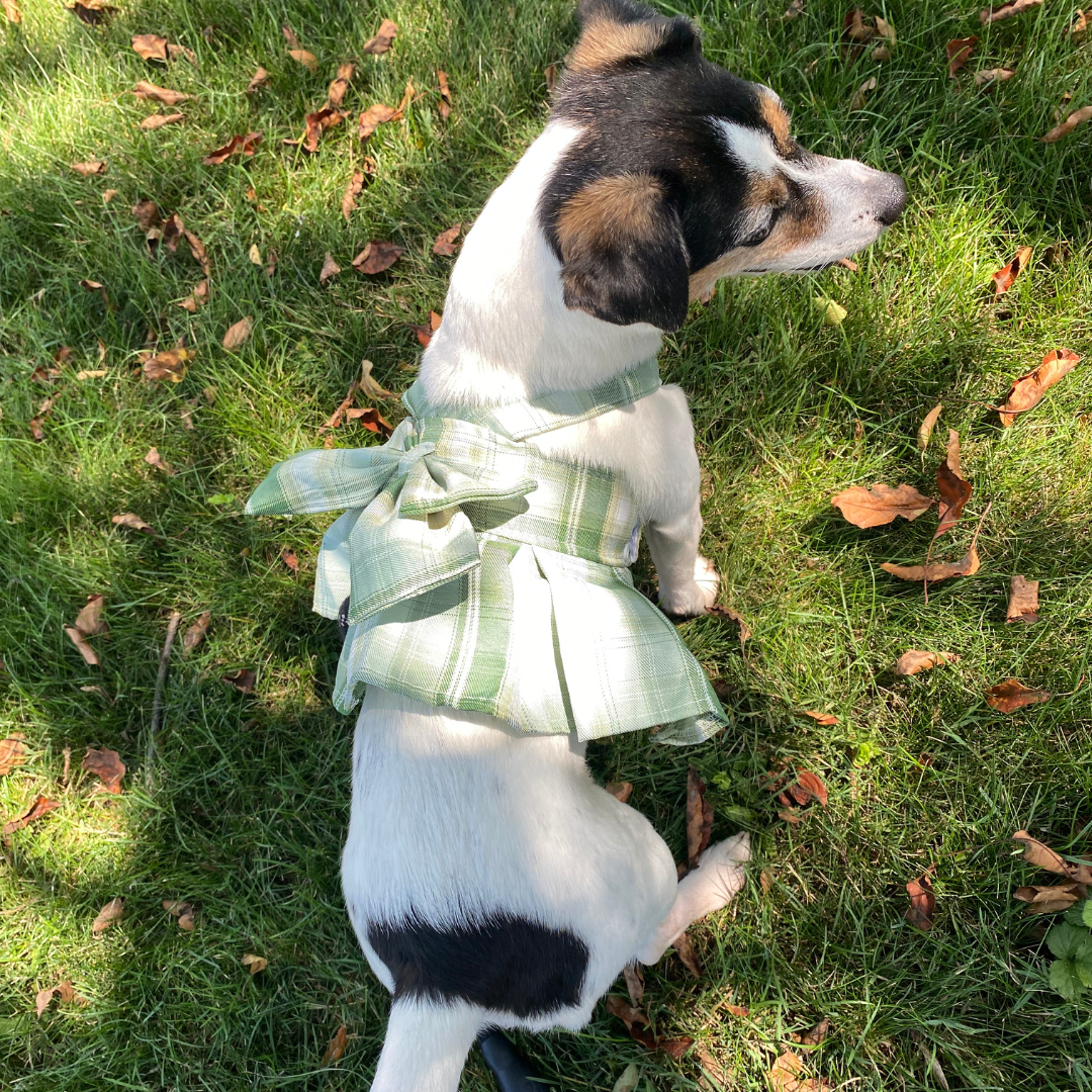 Magical Girl ✨ Dress Harness for Dogs - Three Colour Pack