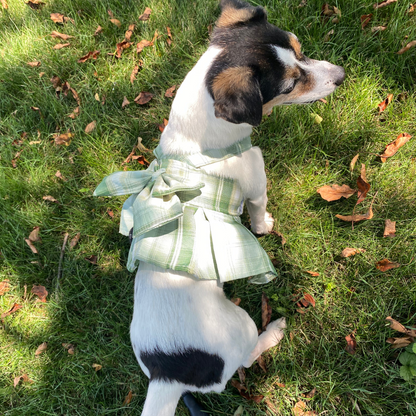 Magical Girl ✨ Dress Harness for Dogs - Three Colour Pack