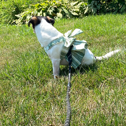 Magical Girl ✨ Dress Harness for Dogs - Three Colour Pack