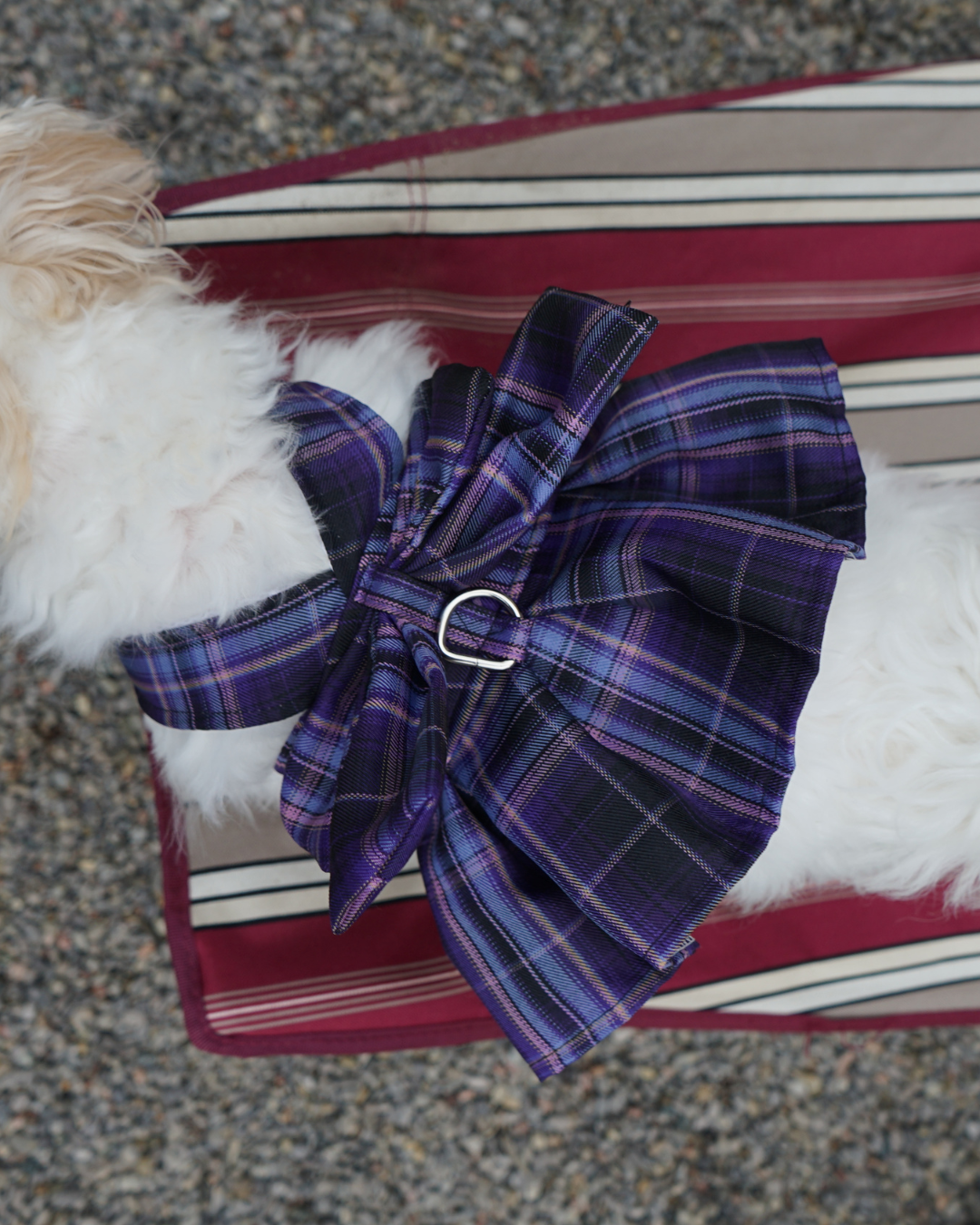 Magical Girl ✨ Dress Harness for Dogs - Three Colour Pack